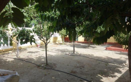 Villa de 6 dormitorios en Puerto Banus