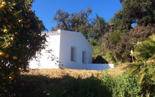 2 bedrooms Villa in Nueva Milla de Oro