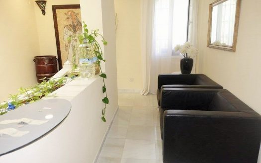 Villa de 4 dormitorios en Nueva Andalucia