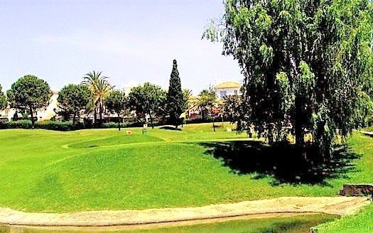 3 bedrooms Townhouse in Nueva Milla de Oro