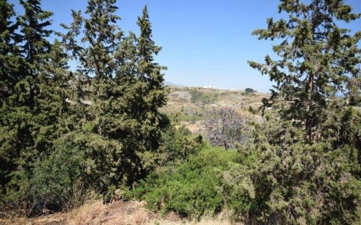 4 bedrooms Villa in Estepona