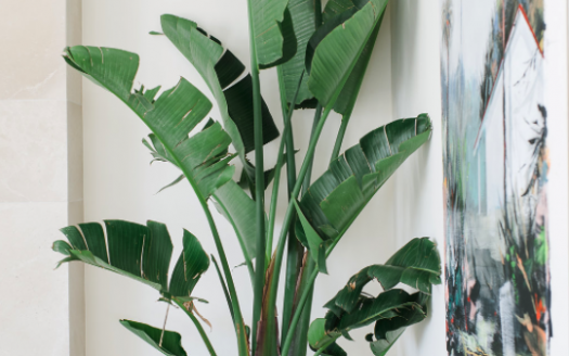 Villa de 5 dormitorios en Nueva Andalucia