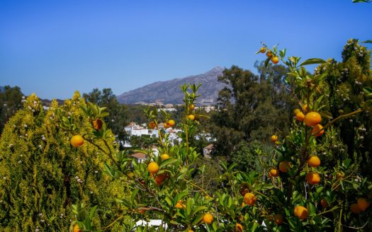 Ático de 4 dormitorios en Los Granados Golf