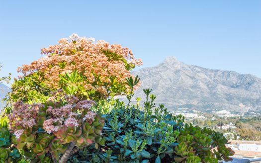 Ático de 2 dormitorios en Marina Banús