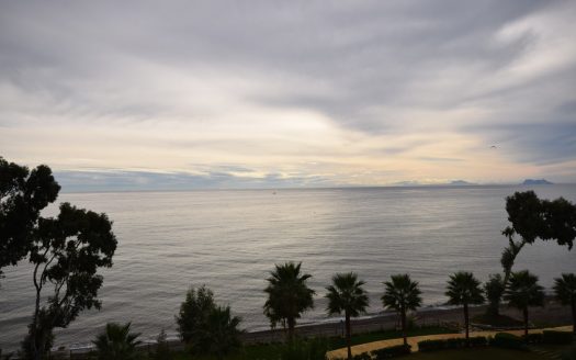 2 bedrooms Apartment in Bahia de la Plata