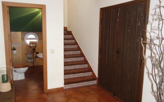 Villa de 4 dormitorios en Nueva Andalucia