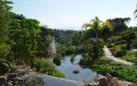 4 bedrooms Penthouse in Aloha Park