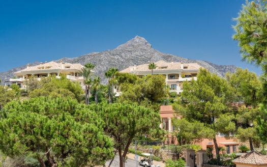 4 bedrooms Penthouse in Aloha Park