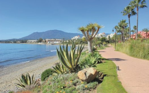 2 bedrooms Apartment in Acosta los Flamingos