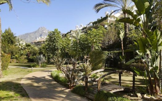 3 bedrooms Penthouse in Milla de Oro