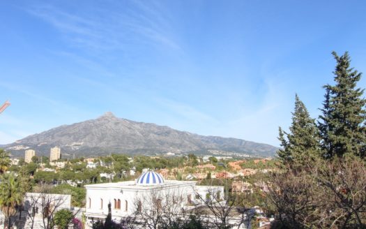 3 bedrooms Apartment in Nueva Andalucia