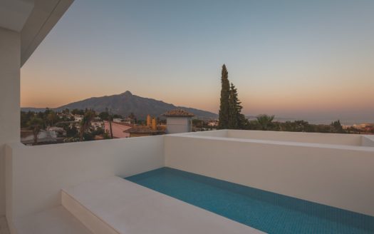 4 bedrooms Villa in Nueva Andalucia