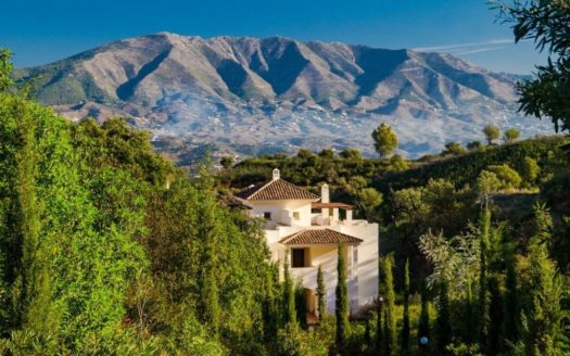 2 bedrooms Apartment in The Oakhill