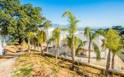 4 bedrooms Villa in La Mairena