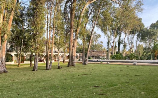 2 bedrooms Apartment in Fuentes del Rodeo