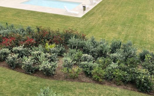 3 bedrooms Apartment in Cancelada