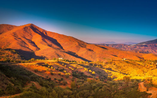 2 bedrooms Apartment in The Oakhill