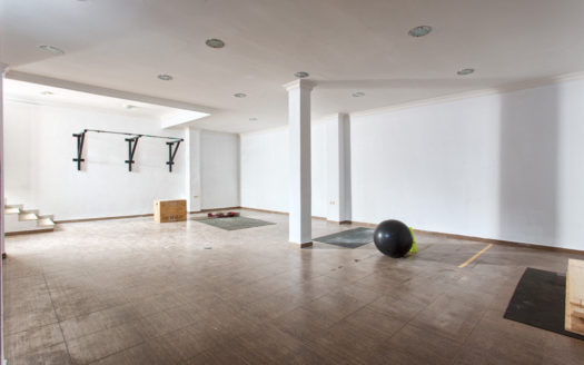 4 bedrooms Villa in Nueva Milla de Oro