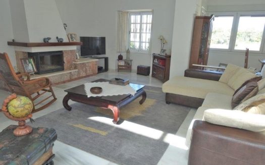 4 bedrooms Villa in Nueva Andalucia