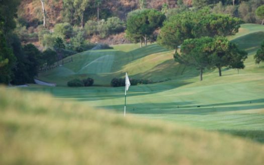 3 bedrooms Apartment in Nueva Andalucia