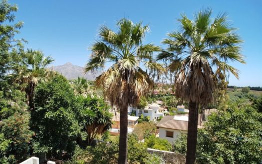 4 bedrooms Villa in Nueva Andalucia