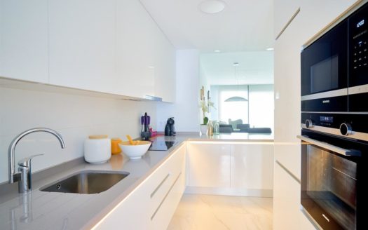 2 bedrooms Apartment in Nueva Milla de Oro