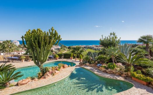 4 bedrooms Villa in Nueva Milla de Oro