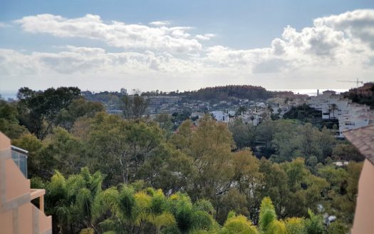 3 bedrooms Penthouse in Nueva Andalucia