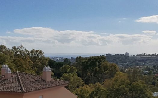 3 bedrooms Penthouse in Nueva Andalucia