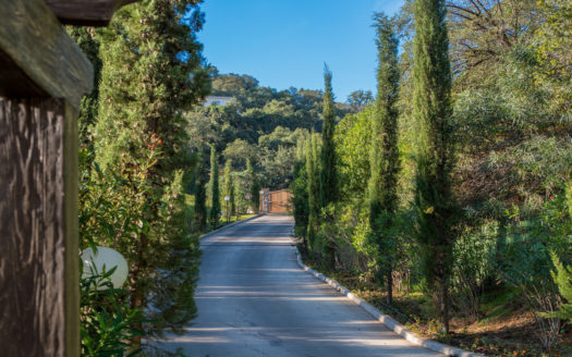 3 bedrooms Apartment in The Oakhill