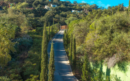 3 bedrooms Apartment in The Oakhill