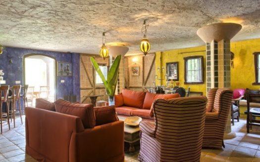 5 bedrooms Villa in Nueva Andalucia