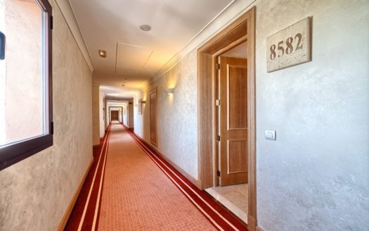 2 bedrooms Apartment in Nueva Milla de Oro