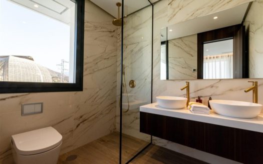 4 bedrooms Villa in Nueva Andalucia