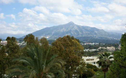 3 bedrooms Apartment in Nueva Andalucia
