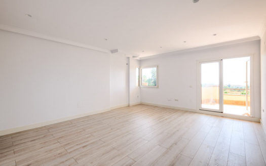 5 bedrooms Penthouse in Milla de Oro