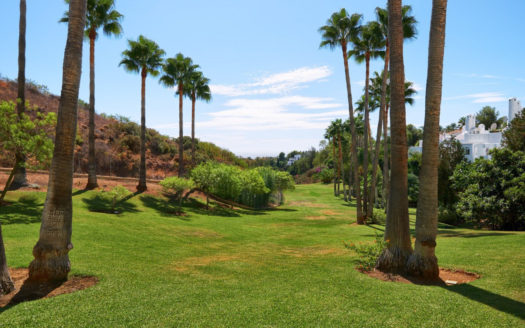 5 bedrooms Penthouse in Milla de Oro