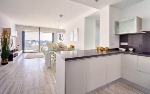 3 bedrooms Penthouse in Nueva Milla de Oro