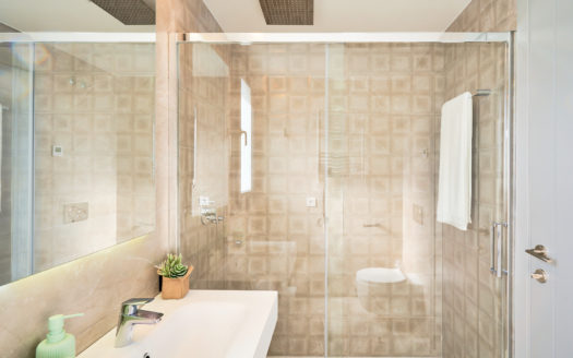 3 bedrooms Penthouse in Nueva Milla de Oro