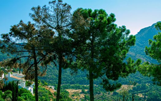 Villa de 4 dormitorios en Monte Mayor Golf