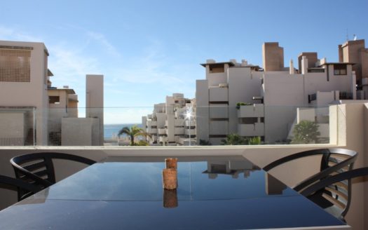 2 bedrooms Apartment in Nueva Milla de Oro