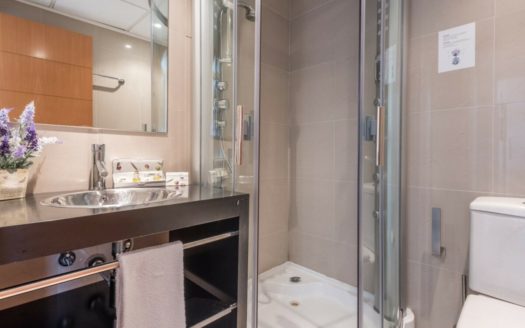 2 bedrooms Apartment in Nueva Milla de Oro