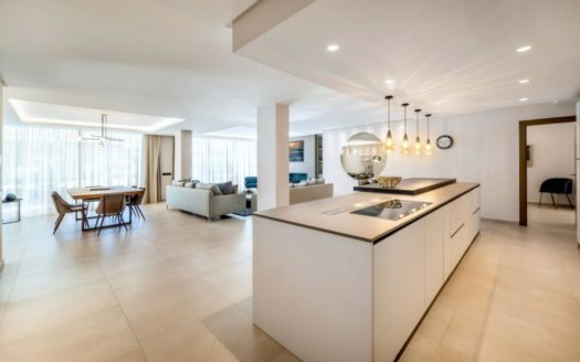 4 bedrooms Apartment in Nueva Milla de Oro