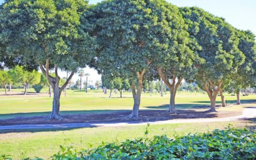 5 bedrooms Villa in Nueva Andalucia