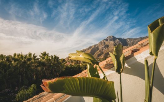 3 bedrooms Penthouse in Milla de Oro