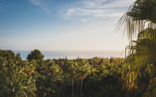 3 bedrooms Penthouse in Milla de Oro