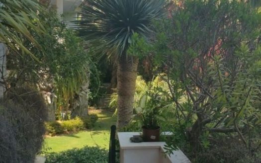 3 bedrooms Apartment in Milla de Oro