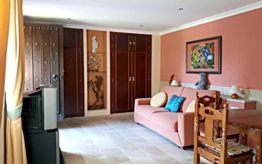 Villa de 5 dormitorios en Los Monteros