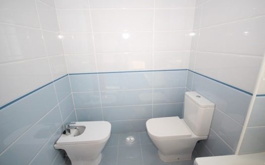 4 bedrooms Villa in Nueva Andalucia