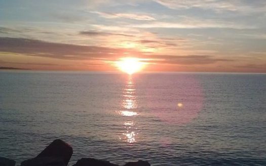 4 bedrooms Villa in Nueva Andalucia